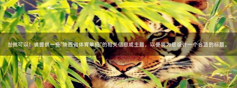 当然可以！请提供一些\