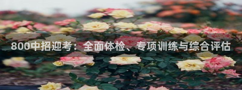 800中招迎考：全面体检、专项训练与综合评估