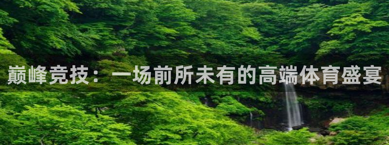 巅峰竞技：一场前所未有的高端体育盛宴